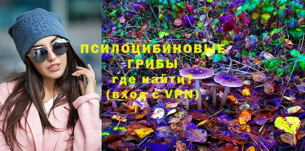 прущая мука Арсеньев