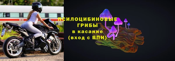 прущая мука Арсеньев