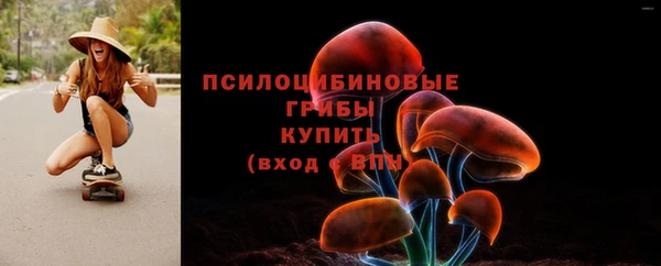 прущая мука Арсеньев