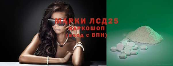 ПСИЛОЦИБИНОВЫЕ ГРИБЫ Аркадак