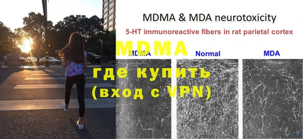 ПСИЛОЦИБИНОВЫЕ ГРИБЫ Аркадак
