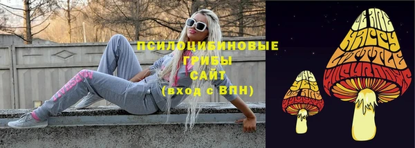 прущая мука Арсеньев