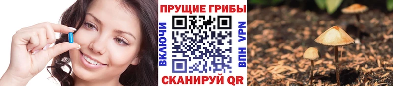 Псилоцибиновые грибы Psilocybine cubensis  blacksprut зеркало  Руза  где можно купить  