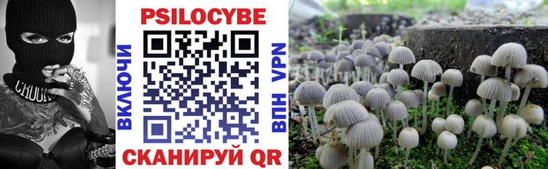Псилоцибиновые грибы GOLDEN TEACHER Руза